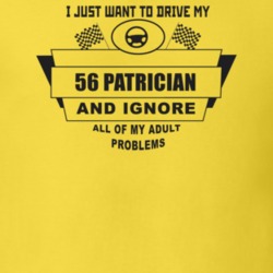 I Just Want To Drive My 1956 Patrician And Ignore All My Adult Problem