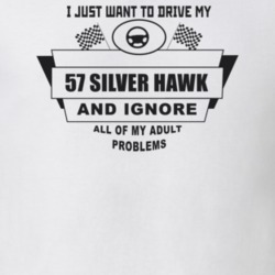 I Just Want To Drive My 1957 Silver Hawk And Ignore All My Adult Probl
