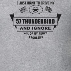 I Just Want To Drive My 1957 Thunderbird And Ignore All My Adult Probl