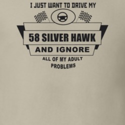 I Just Want To Drive My 1958 Silver Hawk And Ignore All My Adult Probl