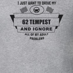 I Just Want To Drive My 1962 Tempest And Ignore All My Adult Problems 