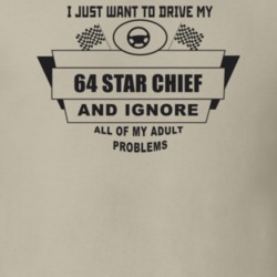 I Just Want To Drive My 1964 Star Chief And Ignore All My Adult Proble