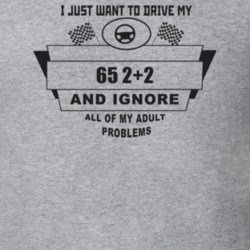 I Just Want To Drive My 1965 2+2 And Ignore All My Adult Problems Funn