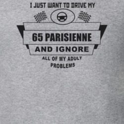 I Just Want To Drive My 1965 Parisienne And Ignore All My Adult Proble