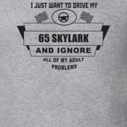I Just Want To Drive My 1965 Skylark And Ignore All My Adult Problems 