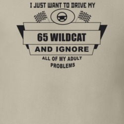 I Just Want To Drive My 1965 Wildcat And Ignore All My Adult Problems 