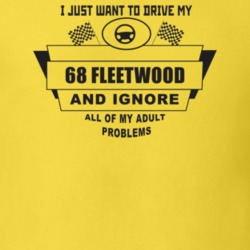 I Just Want To Drive My 1968 Fleetwood And Ignore All My Adult Problem