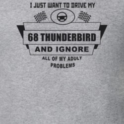 I Just Want To Drive My 1968 Thunderbird And Ignore All My Adult Probl