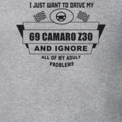 I Just Want To Drive My 1969 Camaro Z30 And Ignore All My Adult Proble