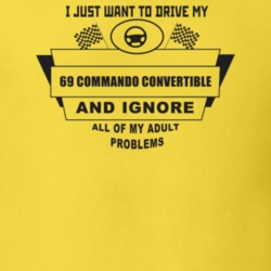 I Just Want To Drive My 1969 Commando Convertible And Ignore All My Ad