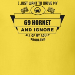 I Just Want To Drive My 1969 Hornet And Ignore All My Adult Problems F