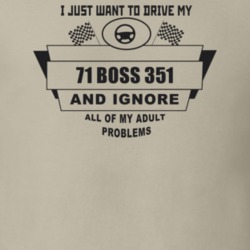 I Just Want To Drive My 1971 Boss 351 And Ignore All My Adult Problems