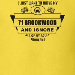 I Just Want To Drive My 1971 Brookwood And Ignore All My Adult Problem