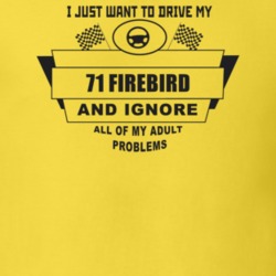 I Just Want To Drive My 1971 Firebird And Ignore All My Adult Problems