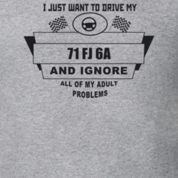 I Just Want To Drive My 1971 Fj 6A And Ignore All My Adult Problems Fu
