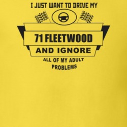 I Just Want To Drive My 1971 Fleetwood And Ignore All My Adult Problem
