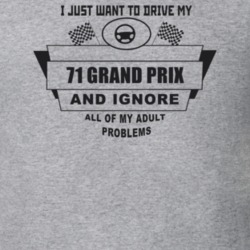 I Just Want To Drive My 1971 Grand Prix And Ignore All My Adult Proble
