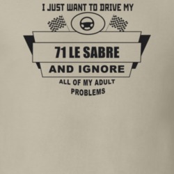 I Just Want To Drive My 1971 Le Sabre And Ignore All My Adult Problems