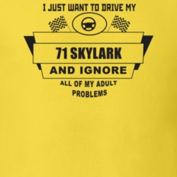 I Just Want To Drive My 1971 Skylark And Ignore All My Adult Problems 