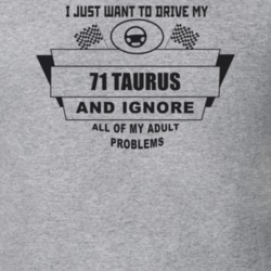 I Just Want To Drive My 1971 Taurus And Ignore All My Adult Problems F