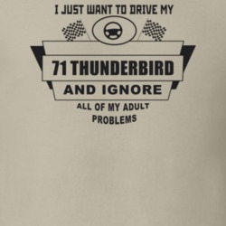 I Just Want To Drive My 1971 Thunderbird And Ignore All My Adult Probl