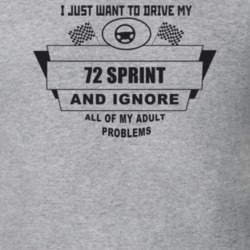 I Just Want To Drive My 1972 Sprint And Ignore All My Adult Problems F