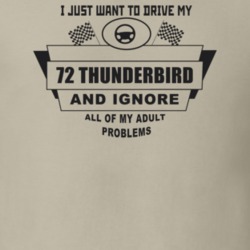 I Just Want To Drive My 1972 Thunderbird And Ignore All My Adult Probl