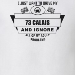 I Just Want To Drive My 1973 Calais And Ignore All My Adult Problems F