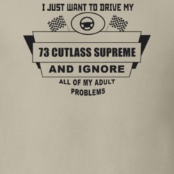 I Just Want To Drive My 1973 Cutlass Supreme And Ignore All My Adult P
