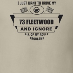 I Just Want To Drive My 1973 Fleetwood And Ignore All My Adult Problem