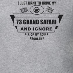 I Just Want To Drive My 1973 Grand Safari And Ignore All My Adult Prob