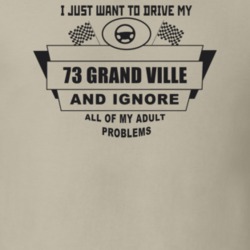 I Just Want To Drive My 1973 Grand Ville And Ignore All My Adult Probl