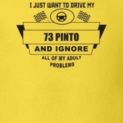 I Just Want To Drive My 1973 Pinto And Ignore All My Adult Problems Fu