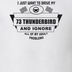 I Just Want To Drive My 1973 Thunderbird And Ignore All My Adult Probl