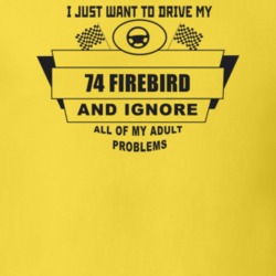 I Just Want To Drive My 1974 Firebird And Ignore All My Adult Problems