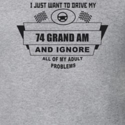 I Just Want To Drive My 1974 Grand Am And Ignore All My Adult Problems