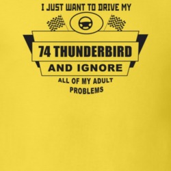 I Just Want To Drive My 1974 Thunderbird And Ignore All My Adult Probl