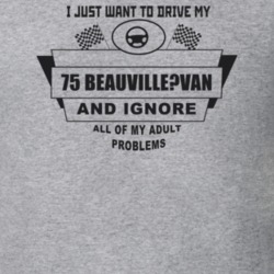 I Just Want To Drive My 1975 Beauville?Van And Ignore All My Adult Pro