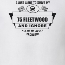 I Just Want To Drive My 1975 Fleetwood And Ignore All My Adult Problem