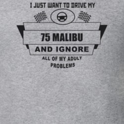 I Just Want To Drive My 1975 Malibu And Ignore All My Adult Problems F