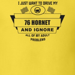 I Just Want To Drive My 1976 Hornet And Ignore All My Adult Problems F