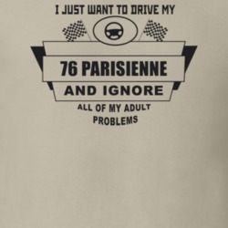 I Just Want To Drive My 1976 Parisienne And Ignore All My Adult Proble