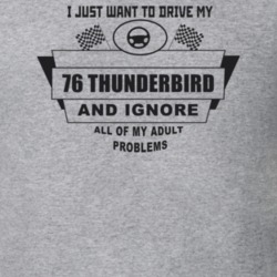 I Just Want To Drive My 1976 Thunderbird And Ignore All My Adult Probl