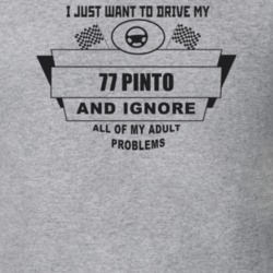 I Just Want To Drive My 1977 Pinto And Ignore All My Adult Problems Fu