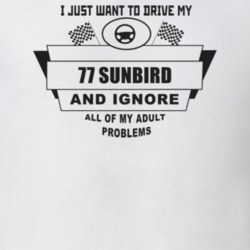 I Just Want To Drive My 1977 Sunbird And Ignore All My Adult Problems 