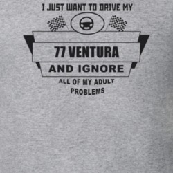 I Just Want To Drive My 1977 Ventura And Ignore All My Adult Problems 