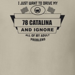 I Just Want To Drive My 1978 Catalina And Ignore All My Adult Problems