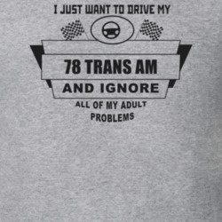 I Just Want To Drive My 1978 Trans Am And Ignore All My Adult Problems