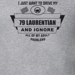 I Just Want To Drive My 1979 Laurentian And Ignore All My Adult Proble