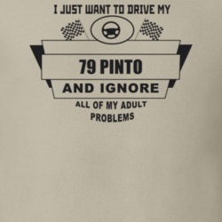 I Just Want To Drive My 1979 Pinto And Ignore All My Adult Problems Fu